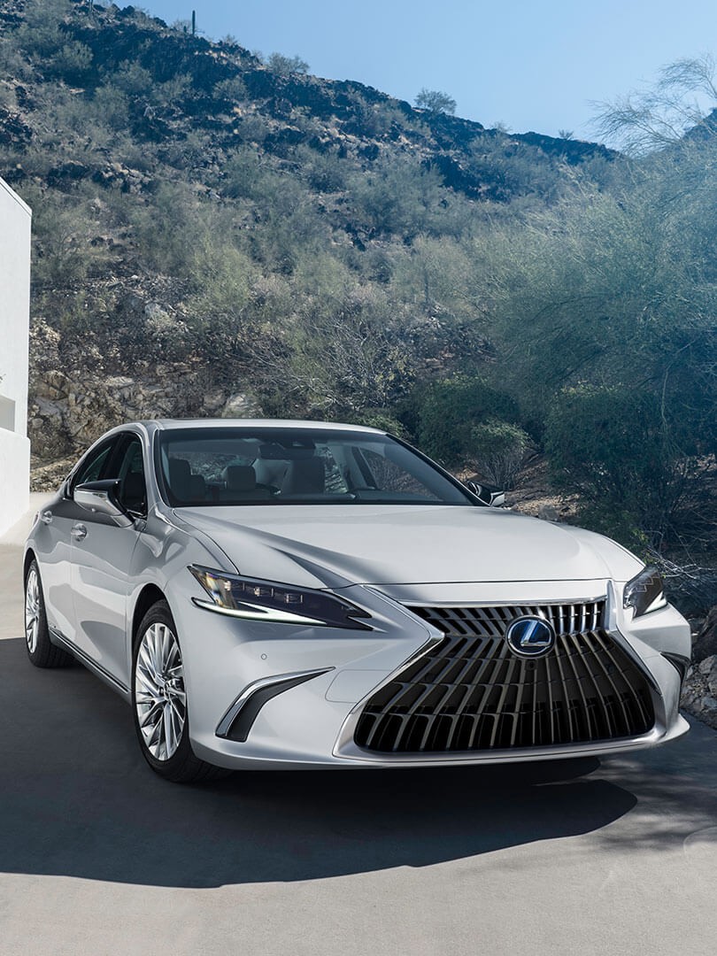 Lexus_ES_Ultra-Luxury_Low_810x1080_8