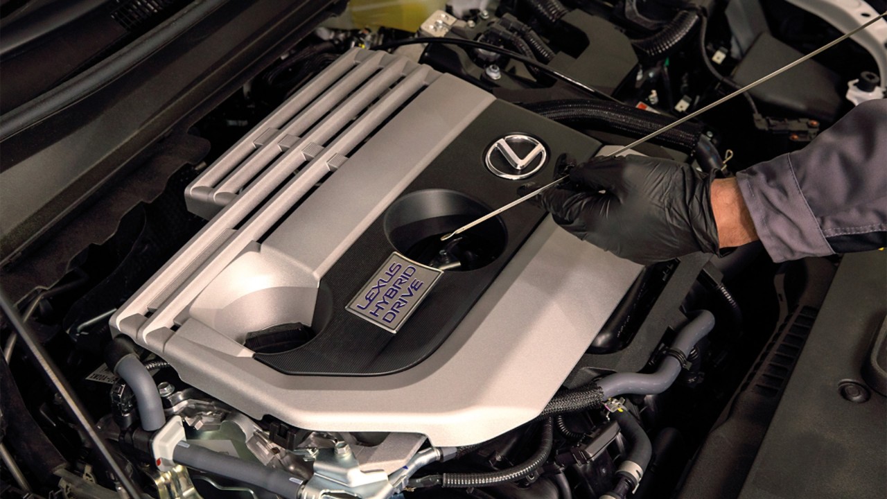 A person checking the engine oil of a Lexus